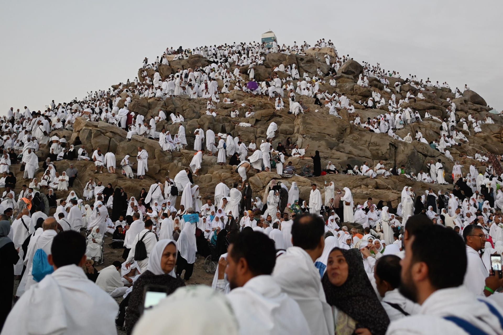 جريدة البلاد |