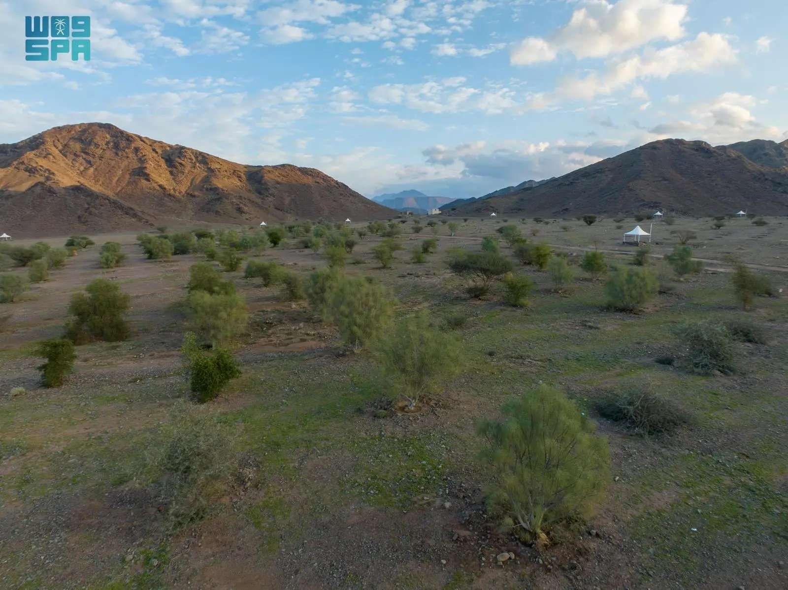 مبادرة تنمية الغطاء النباتي