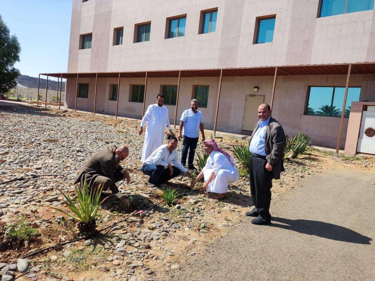 بيئه خليص و جامعة جدة تنفذان حملة تشجير مشتركة