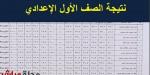 نتيجة الصف الأول الإعدادي محافظة البحيرة الترم الأول 2025 - ستاد العرب