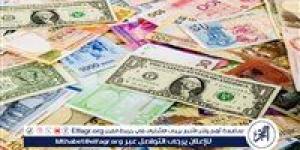 سعر اليورو أمام الجنيه في تعاملات اليوم 11/9/2024 - ستاد العرب