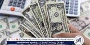 الدولار يواصل استقراره أمام الجنيه المصري.. قراءة في الأسعار والتوقعات - ستاد العرب