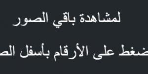 عروض
      بنده
      اليوم
      السبت
      بصفحة
      واحدة
      5
      أكتوبر
      2024
      الموافق
      2
      ربيع
      الآخر
      1446
      أقوى
      عروض
      الـــ4
      أيام - ستاد العرب