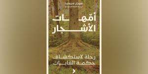 «أمهات
      الأشجار»..
      دعوة
      لتأمل
      جمال
      الطبيعة - ستاد العرب