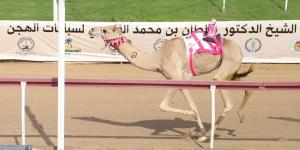 مهرجان
      حاكم
      الشارقة
      للهجن
      ينطلق
      3
      نوفمبر - ستاد العرب