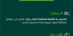 القبض على شخص روّج مادة الحشيش بـ"الجوف" - ستاد العرب