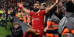 جوائز
      جلوب
      سوكر..
      محمد
      صلاح
      ينافس
      9
      لاعبين
      على
      جائزة
      أفضل
      مهاجم - ستاد العرب