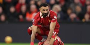 ردود
      أفعال
      جماهير
      ليفربول
      على
      أداء
      محمد
      صلاح
      أمام
      فولهام:
      الأبطال
      يظهرون
      في
      أيام
      مثل
      هذه - ستاد العرب