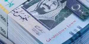 سعر الريال السعودي أمام الجنيه المصري اليوم الخميس 1 يناير 2025 - ستاد العرب