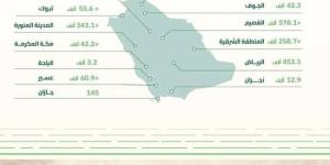 إنتاج التمور يقترب من مليوني طن - ستاد العرب