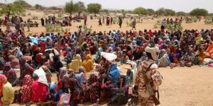 الاتحاد الإفريقي: الحرب السودانية أسوأ أزمة إنسانية في العالم - ستاد العرب