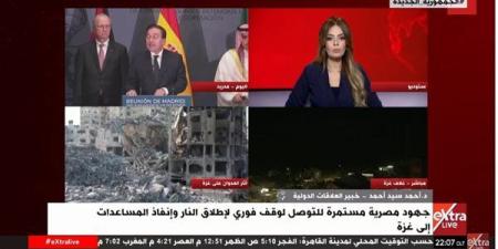 خبير علاقات دولية: مصر هي صمام الأمان للقضية الفلسطينية - ستاد العرب