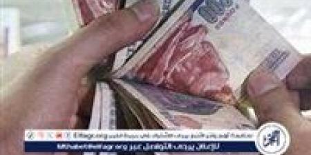 موعد صرف معاشات شهر أكتوبر 2024 - ستاد العرب