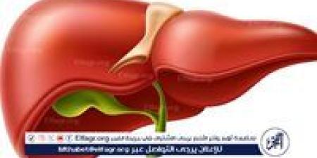 الجمعية الإفريقية: الكبد الدهني هو الوباء القادم على مستوى العالم - ستاد العرب