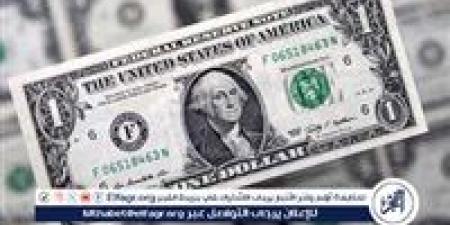 استقرار سعر الدولار أمام الجنيه المصري في الأسواق اليوم - ستاد العرب