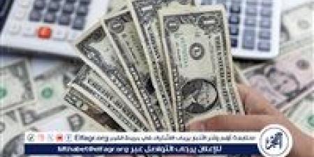 استقرار سعر الدولار: ما خلف الأرقام في السوق المصري اليوم - ستاد العرب