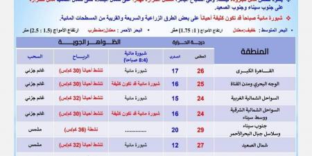 طقس الأربعاء 13 نوفمبر 2024، أجواء باردة ليلًا تتزايد ساحليًا - ستاد العرب