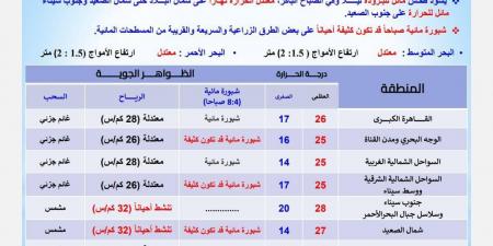 «مناسب للخروج»، استقرار الأحوال الجوية اليوم على الأنحاء كافة - ستاد العرب