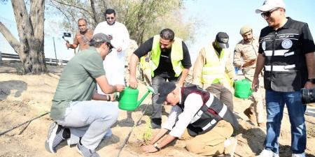 بدء أعمال تشجير الطرق السريعة في محافظة الأحمدي - ستاد العرب