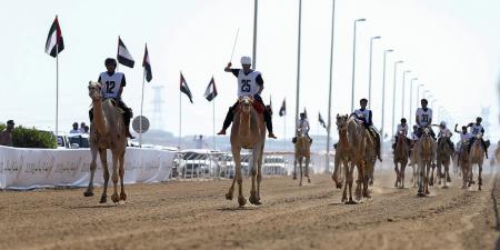 انطلاقة
      مثيرة
      لجائزة
      زايد
      الكبرى
      للهجن - ستاد العرب