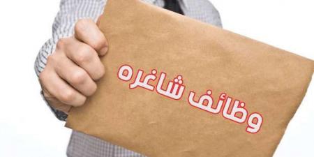 الشباب
      والرياضة
      تعلن
      عن
      وظائف
      بسلسلة
      مطاعم
      كبرى..
      الشروط
      وطريقة
      التقديم - ستاد العرب