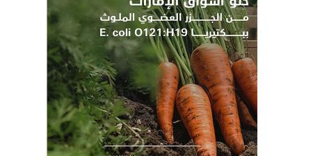 خلو
      أسواق
      الإمارات
      من
      الجزر
      العضوي
      الملوث
      بالبكتيريا - ستاد العرب