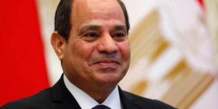 الرئيس السيسي: "وقفة المصريين من 2011 هى اللى حمت بلدهم" - ستاد العرب