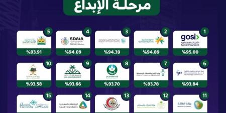 الموارد البشرية أفضل الوزارات في مؤشر قياس التحول الرقمي لعام 2024  - ستاد العرب