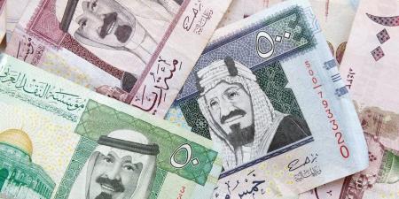 يتخطى الـ 13 جنيهًا، ارتفاع سعر الريال السعودي بختام تعاملات الإثنين 16/12/2024 - ستاد العرب