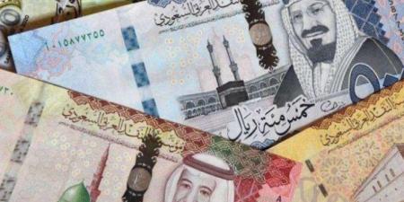 سعر الريال السعودي أمام الجنيه المصري اليوم الأربعاء 25-12-2024 - ستاد العرب