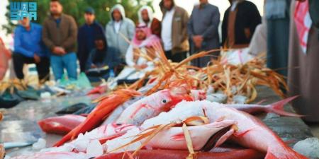 حيوية ورزق وثروة وجمال - ستاد العرب