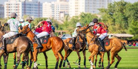 غنتوت
      يواجه
      جهانجيري
      في
      الكأس
      الذهبية
      للبولو - ستاد العرب