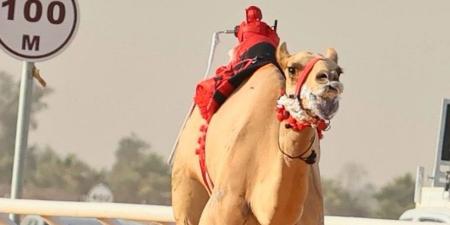 سلطان
      بن
      حمدان
      يشيد
      بإنجاز
      هجن
      الرئاسة
      في
      الجنادرية - ستاد العرب