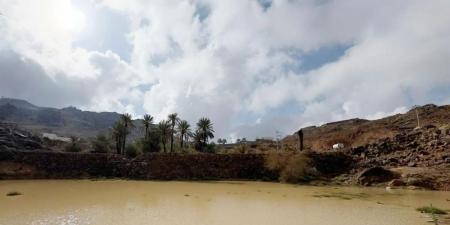 السماء ملبدة بالغيوم.. هطول أمطار غزيرة على المدينة المنورة - ستاد العرب