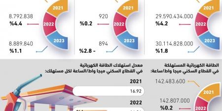 2.8% انخفاض استهلاك الفرد للبنزين - ستاد العرب