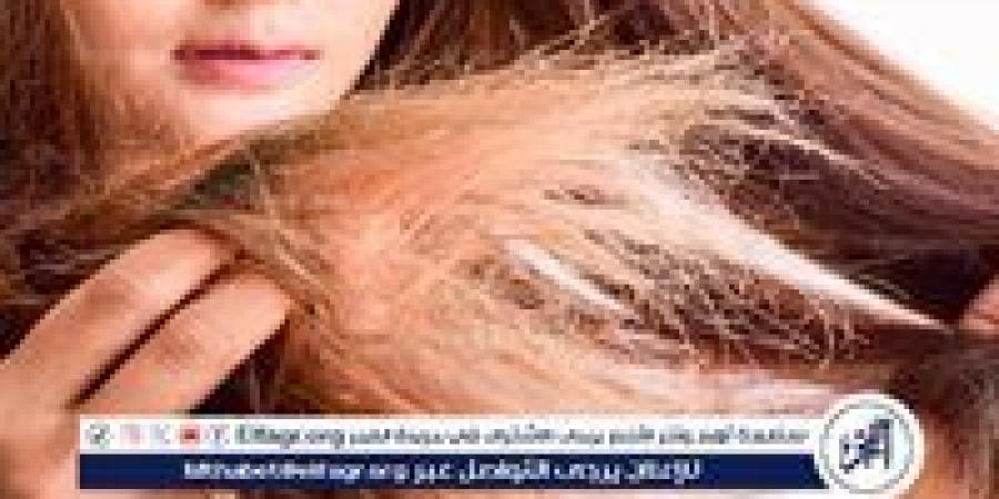 الشعر المتقصف: أسبابه وطرق علاجه واستعادة حيويته - ستاد العرب