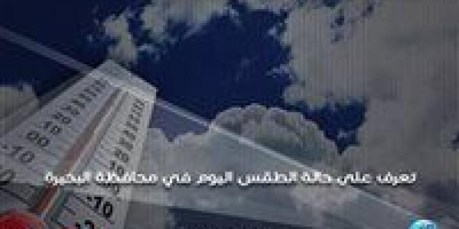 حالة الطقس اليوم السبت 14-9-2024 في محافظة البحيرة - ستاد العرب