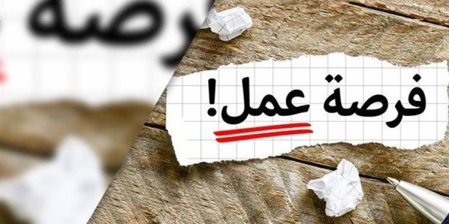 بداية جديدة.. وزارة العمل توفر فرص عمل للشباب وذوي الهمم - ستاد العرب