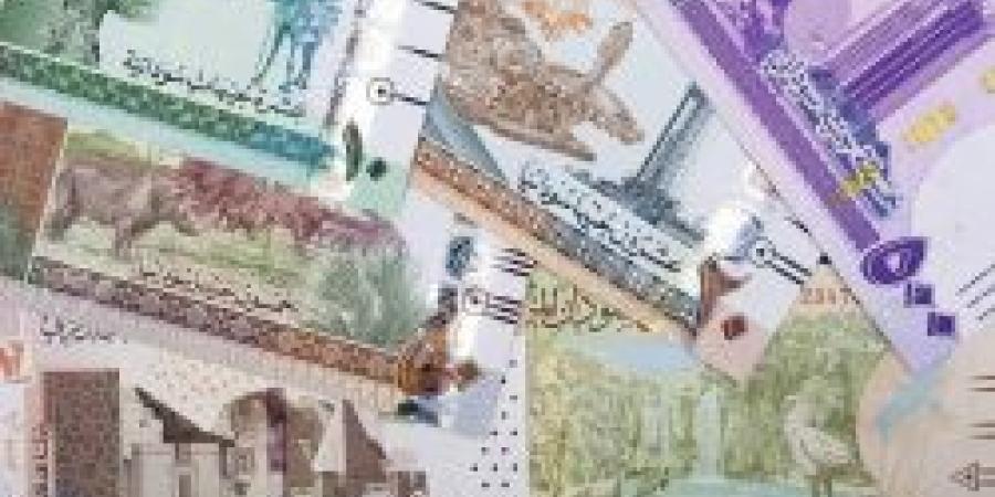 في نهاية الأسبوع .. سعر الجنيه السوداني مقابل الريال السعودي اليوم الخميس 3 أكتوبر 2024 - ستاد العرب