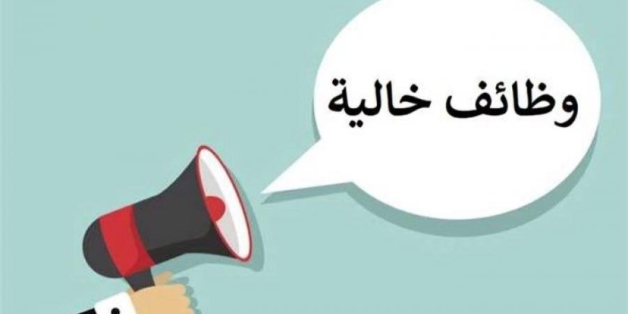 براتب 10 آلاف جنيه، «التضامن الاجتماعي» تعلن عن وظائف شاغرة - ستاد العرب