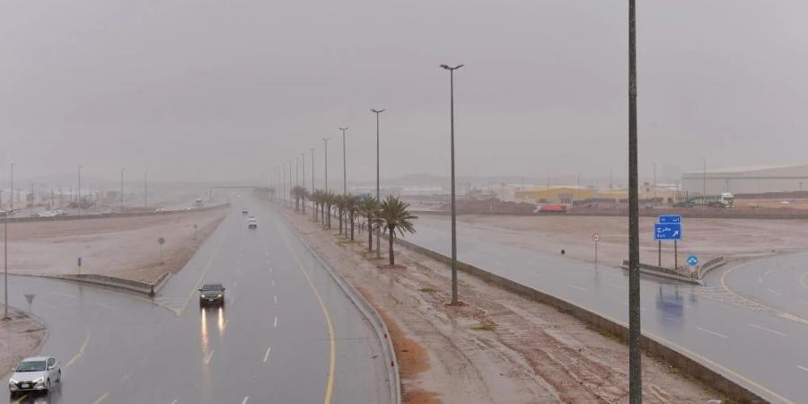 أمطار رعدية غزيرة ورياح نشطة.. تفاصيل حالة الطقس اليوم - ستاد العرب