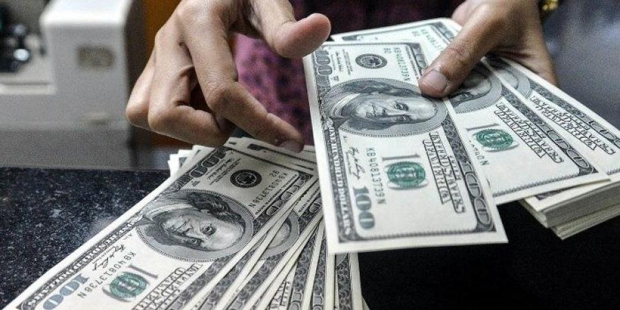 سعر الدولار اليوم، استقرار «الوحش الأخضر» أمام الجنيه المصري - ستاد العرب