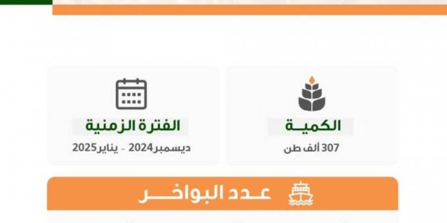 إرساء الدفعة الرابعة من القمح المستورد هذا العام - ستاد العرب