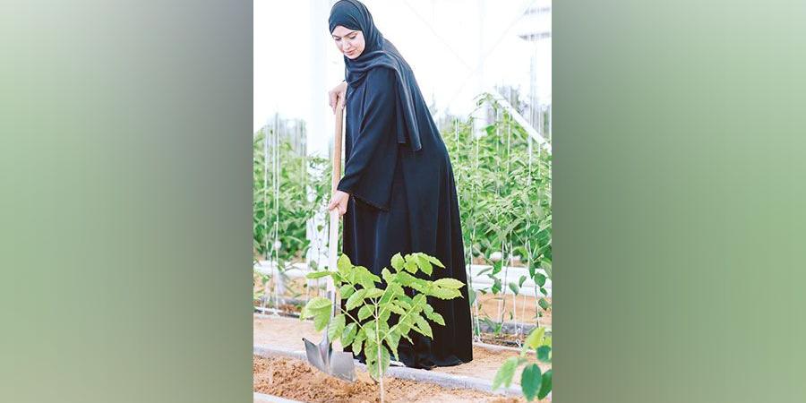 آمنة
      الضحاك:
      «ازرع
      الإمارات»
      ترتقي
      بمعدلات
      الأمن
      الغذائي
      المستدام - ستاد العرب