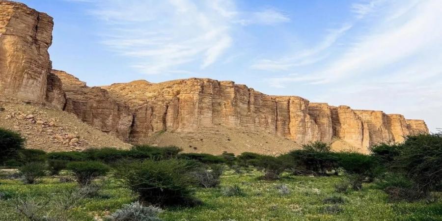 بتحقيق معايير "IUCN".. محمية الوعول أول جهة سعودية تنضمّ للقائمة الخضراء الدولية - ستاد العرب