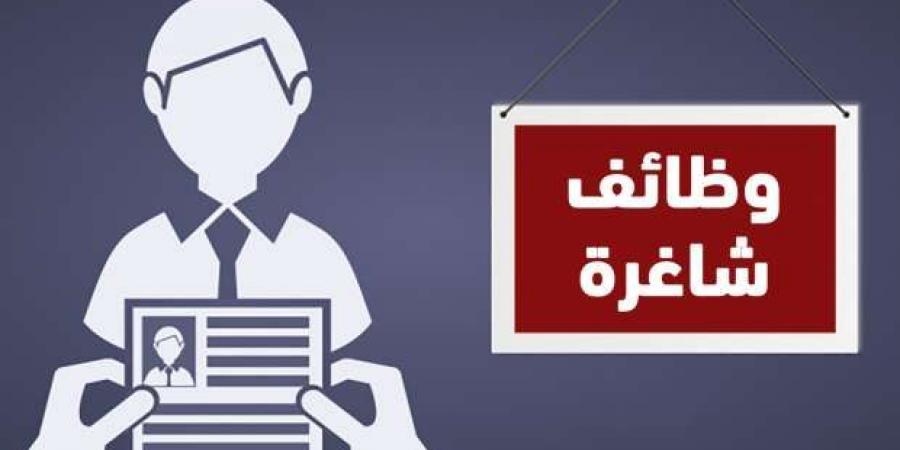 900
      فرصة
      عمل
      بمزايا
      تنافسية..
      كيفية
      التقديم
      لوظائف
      بالدقهلية - ستاد العرب