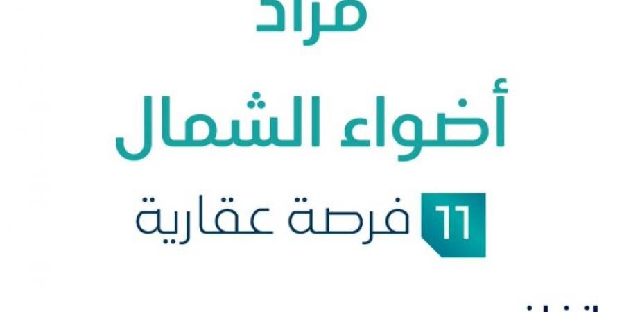 11 فرص عقارية .. مزاد عقاري جديد من ملاذ التطويرية العقارية في الجوف - ستاد العرب