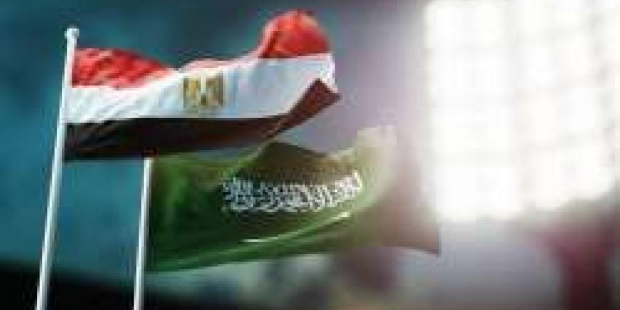 8.3 مليار دولار تحويلات المصريين العاملين بالسعودية وطفرة فى الاستثمارات بين البلدين - ستاد العرب