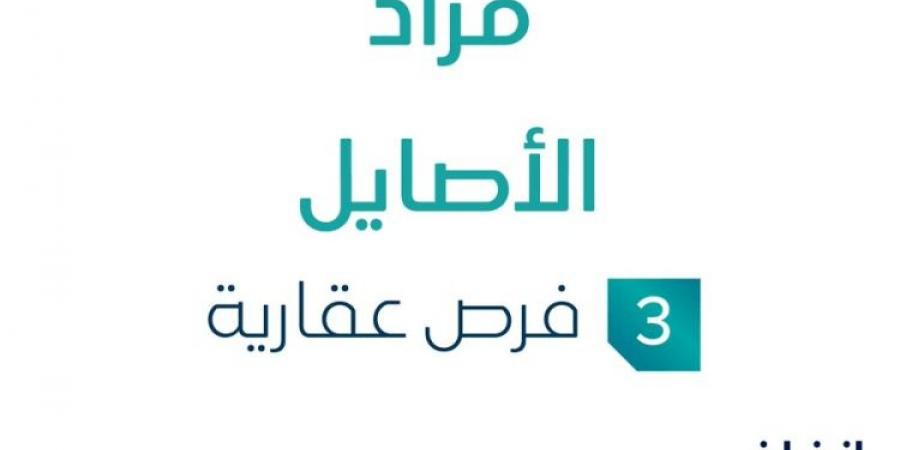 3 فرص عقارية .. مزاد عقاري جديد من شركة سعود الغسلان العقارية في حائل - ستاد العرب