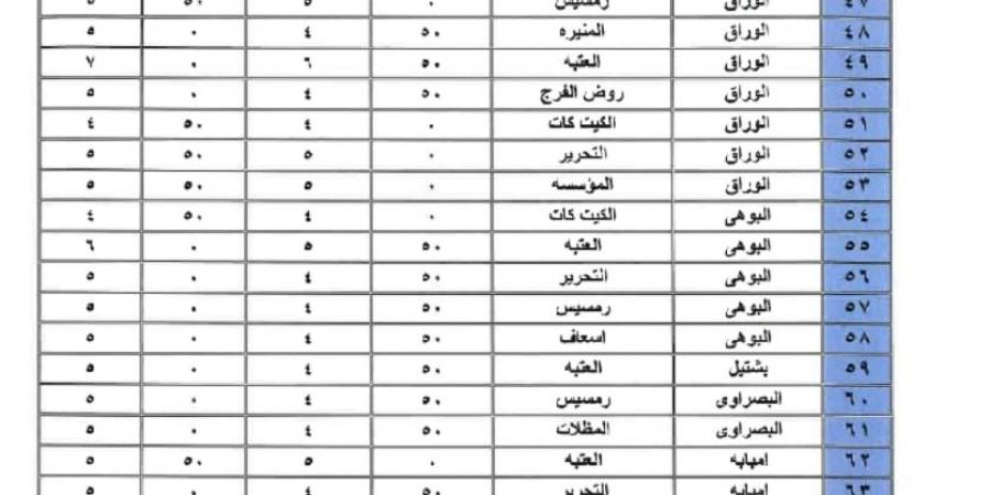 بعد زيادة سعر البنزين، الجيزة ترفع تعريفة ركوب السرفيس والنقل الجماعي - ستاد العرب